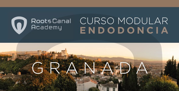 Curso Modular de Endodoncia en Granada organizado por Roots Canal Academy 
