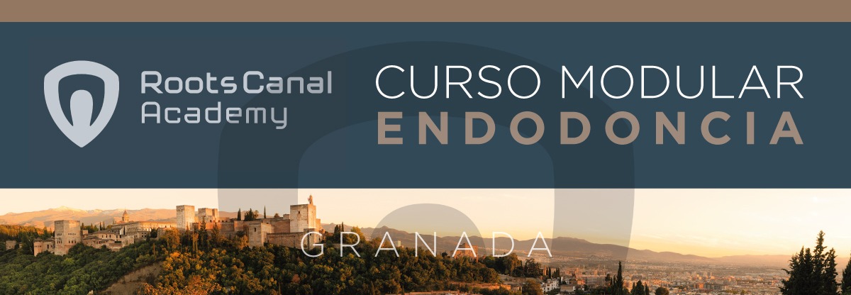 Modular Endodontics Course in Granada organised by Roots Canal Academy