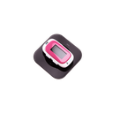 Z-Apex Locator by Zarc