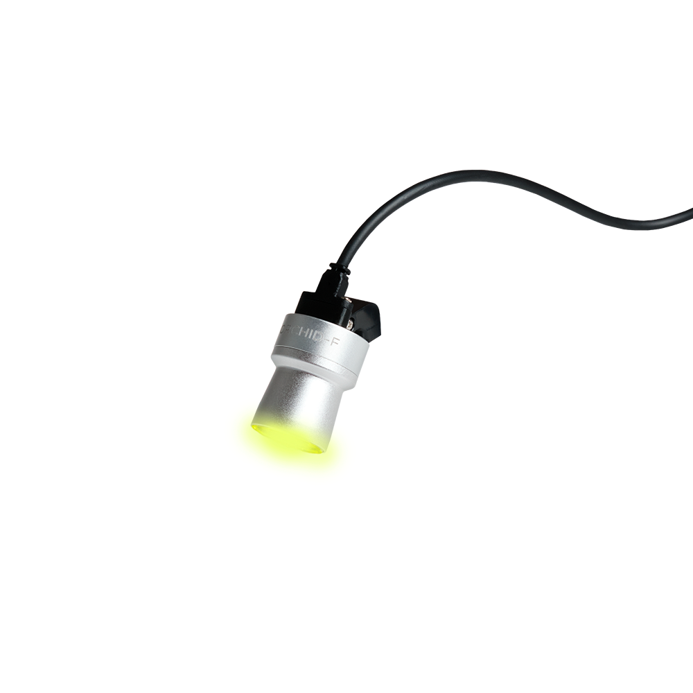 Orchid-F Light by Víttrea