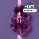 Aster + Composite by Kiyomi Dental